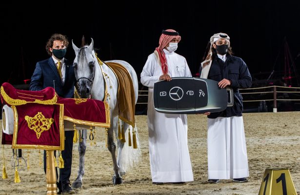 Arabian Horse Festival Winner