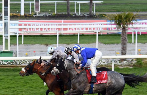 Al Shaqab Racing's MURJAN Gets his First Victory at Toulouse