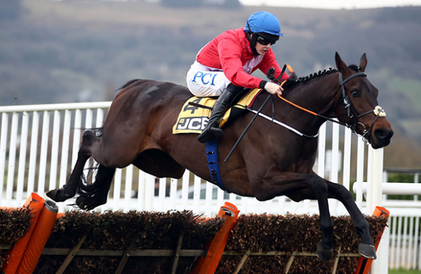 Horse racing-Ireland's Blackmore staying grounded amid Grand National hype