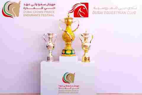 Dubai Crown