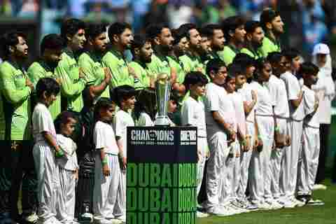 Cricket