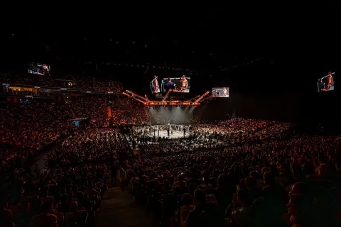 UFC Abu Dhabi 2026